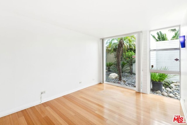 spare room with light wood-type flooring and expansive windows