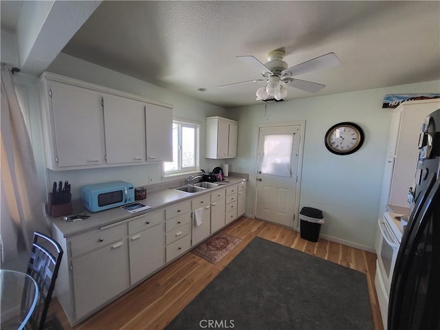 kitchen with ceiling fan, sink, light hardwood / wood-style flooring, and white cabinets