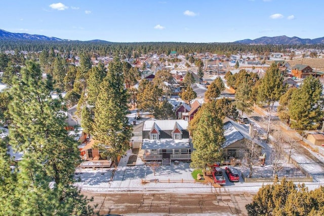 birds eye view of property featuring a mountain view