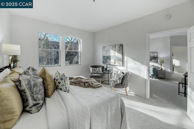 bedroom featuring carpet floors