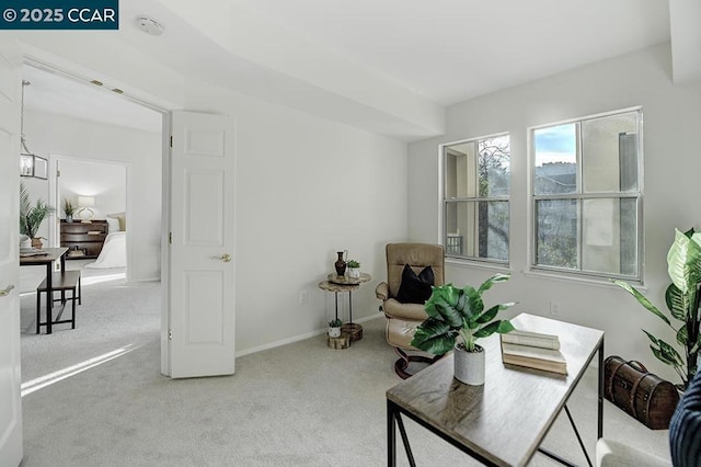 living area with light colored carpet