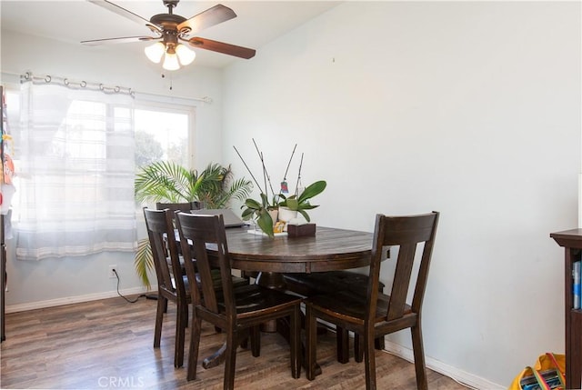 dining area with ceiling fan and dark hardwood / wood-style floors