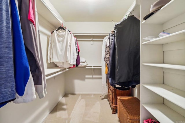 walk in closet with light colored carpet