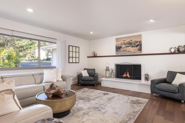 living room featuring dark wood-type flooring