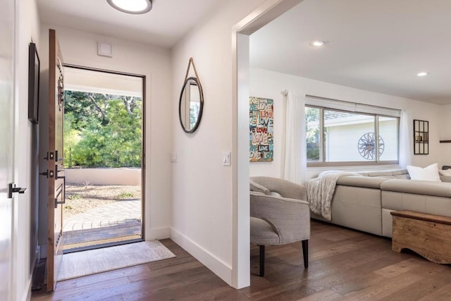 entrance foyer with dark hardwood / wood-style floors