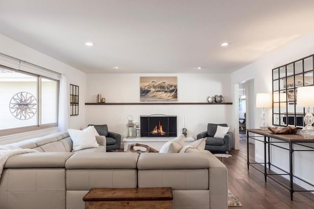 living room with dark hardwood / wood-style floors