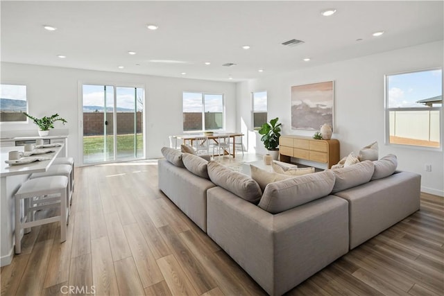 living room with light wood-type flooring