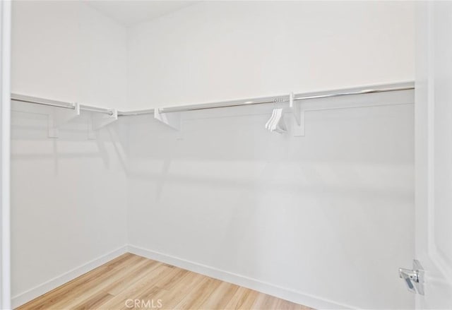 walk in closet with wood-type flooring