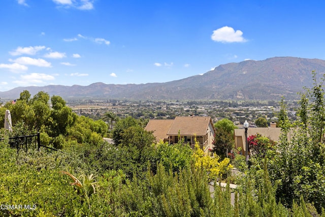 view of mountain feature