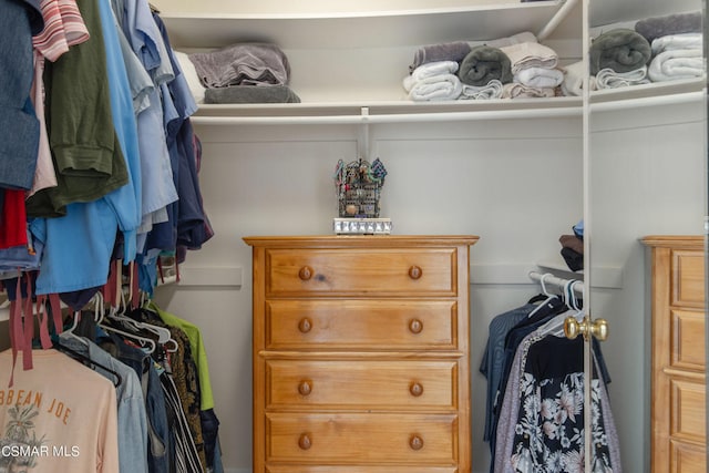 view of walk in closet