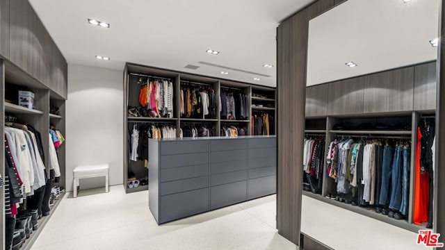 view of spacious closet