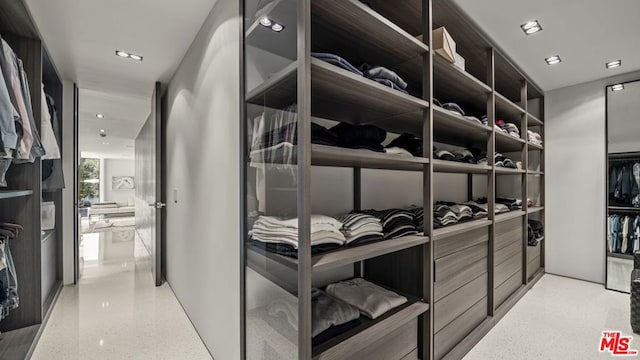 view of walk in closet