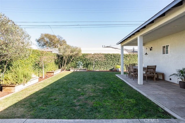 view of yard with a patio area