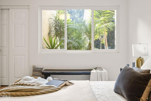 bedroom featuring multiple windows