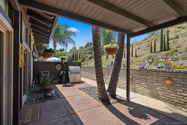 view of patio / terrace featuring grilling area