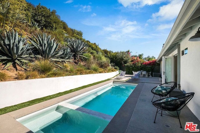 view of pool featuring a patio area