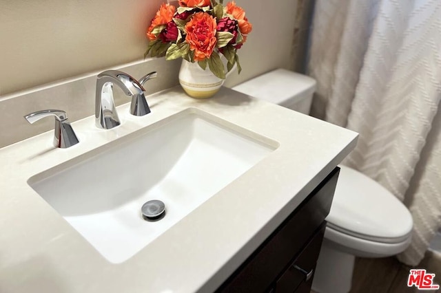 bathroom with toilet and vanity