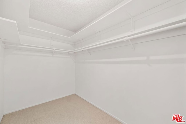 walk in closet with carpet floors