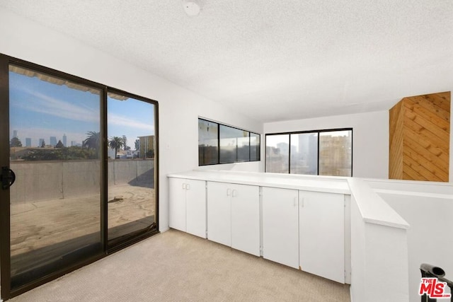 interior space with light carpet, white cabinets, and a textured ceiling