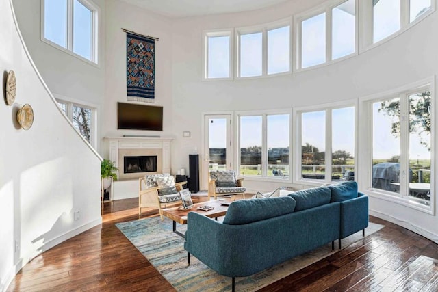 living room with a high ceiling and dark hardwood / wood-style floors