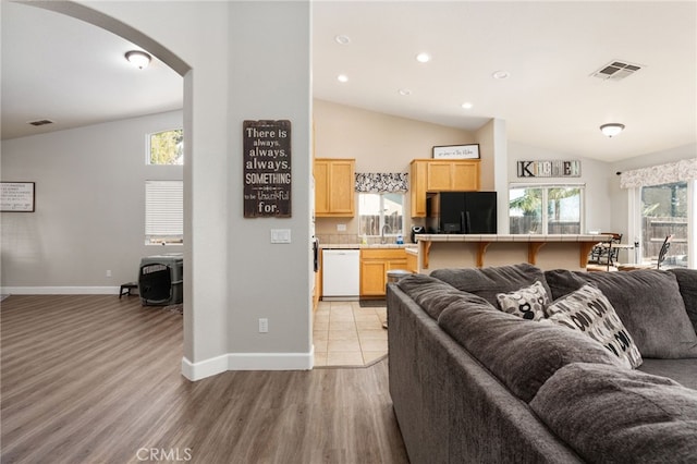 living room with lofted ceiling and light hardwood / wood-style floors