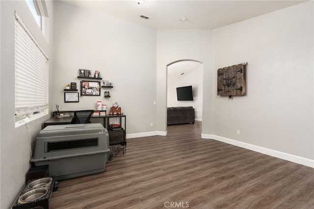 sitting room featuring dark hardwood / wood-style floors and a wealth of natural light