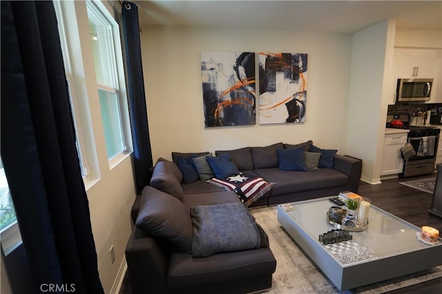 living room with hardwood / wood-style flooring