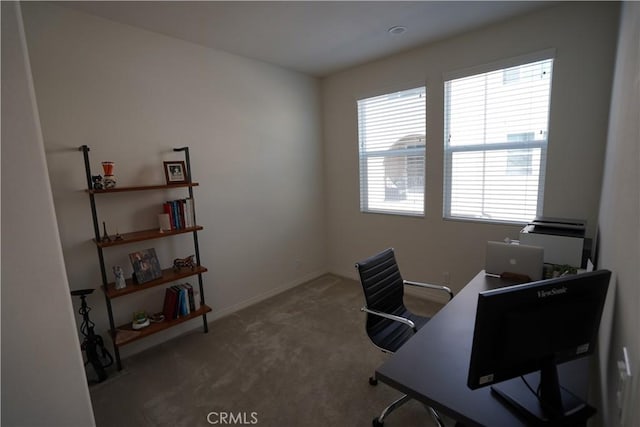 carpeted office with a wealth of natural light