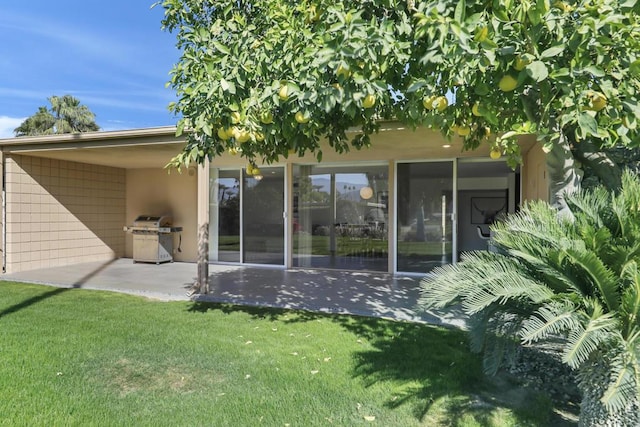 rear view of property featuring a patio and a yard