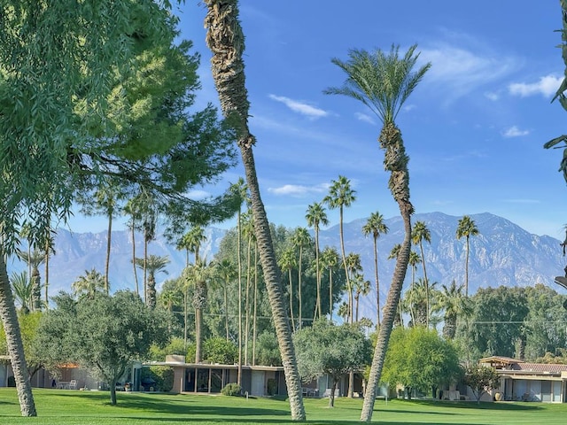 view of home's community featuring a mountain view and a lawn