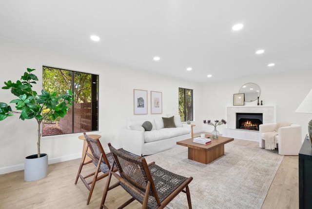 living room with light hardwood / wood-style floors