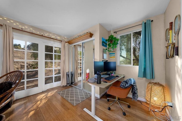 office space with a wealth of natural light and hardwood / wood-style floors