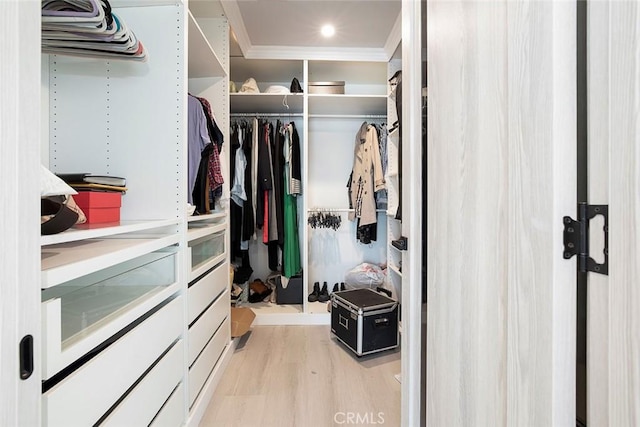 walk in closet featuring light wood-type flooring