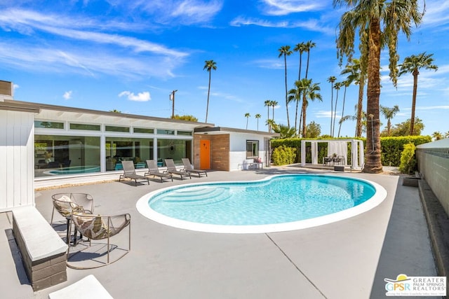 view of pool featuring a patio area