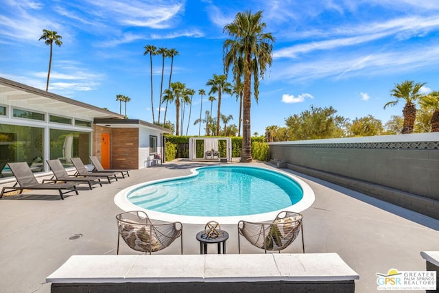 view of pool featuring a patio area