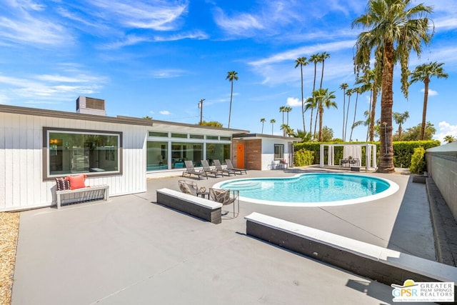 view of pool featuring a patio area