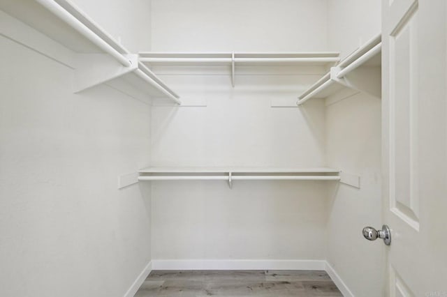 spacious closet featuring light hardwood / wood-style floors