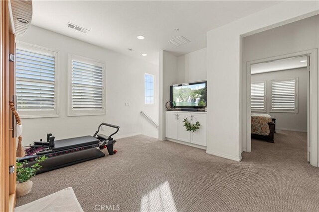 workout area featuring light colored carpet and plenty of natural light