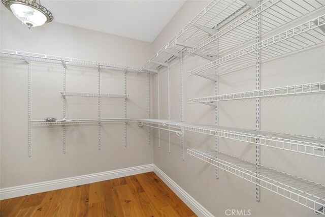 spacious closet featuring wood-type flooring