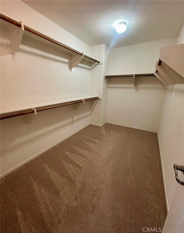 spacious closet with carpet