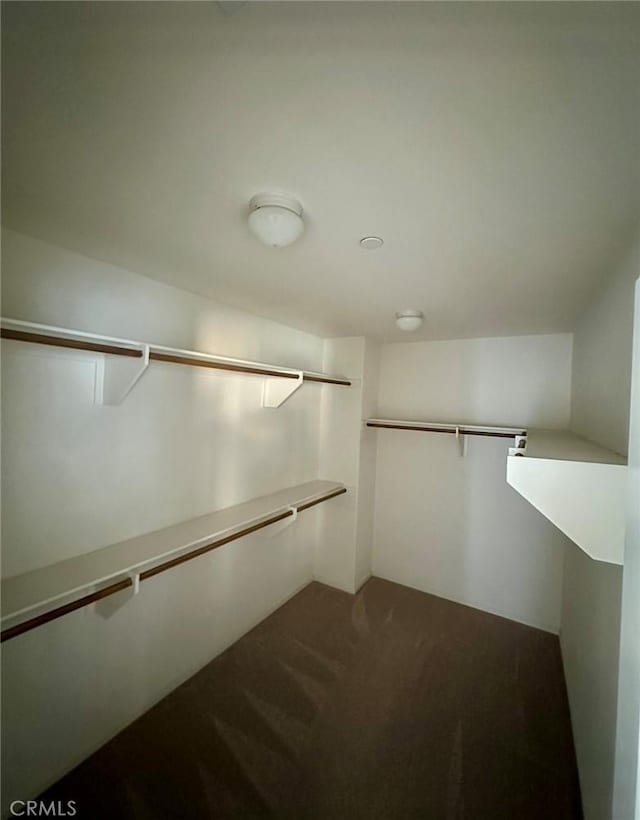 spacious closet featuring carpet floors