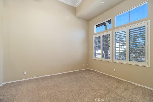 carpeted spare room with ornamental molding