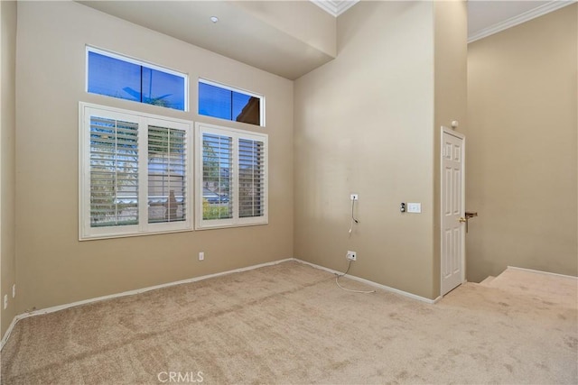 carpeted empty room featuring crown molding