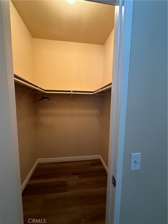 walk in closet featuring dark hardwood / wood-style floors