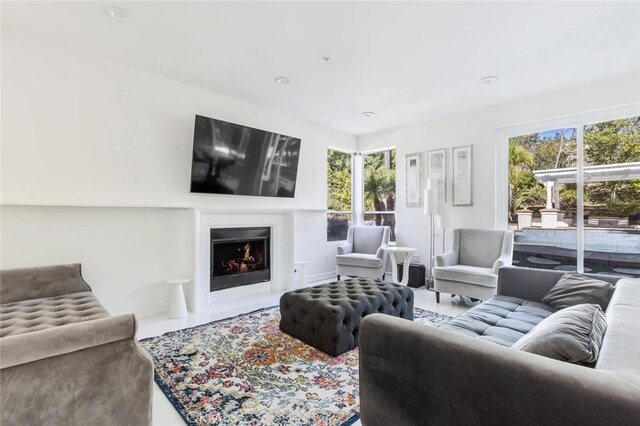 living room with a wealth of natural light