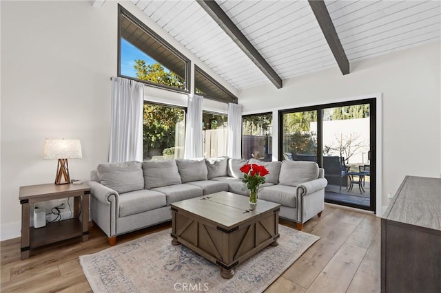 interior space with lofted ceiling with beams