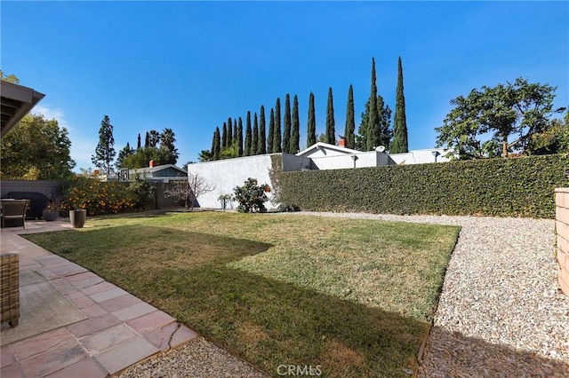 view of yard featuring a patio area