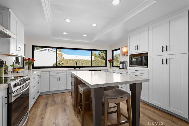 kitchen with white cabinetry, a kitchen bar, a tray ceiling, stainless steel electric range, and a center island