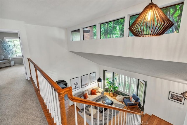 staircase featuring carpet floors