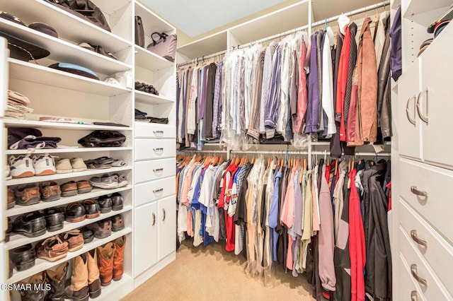 spacious closet featuring light carpet